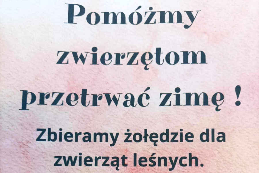 Plakat akcji pomocy zwierzętom podczas zimy